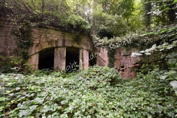 Le fort de Belleville ou fort Chevert (52)