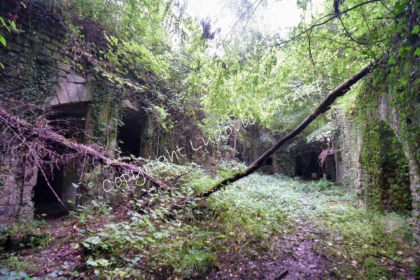 Le fort de Belleville ou fort Chevert (55)